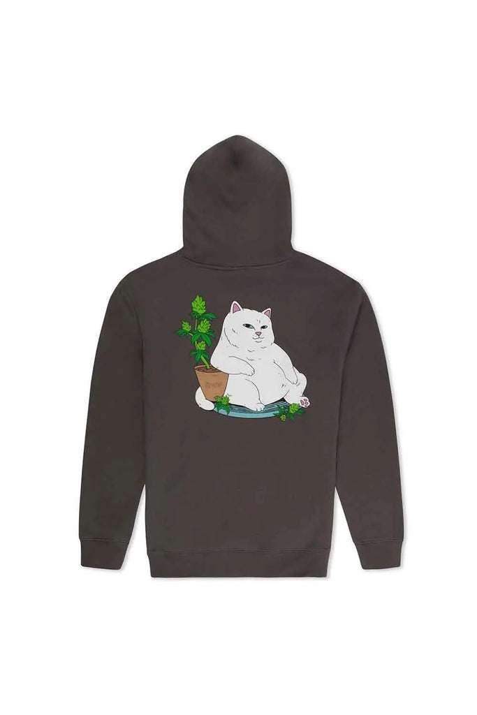 Flower Boy Hoodie for Mens RipnDip